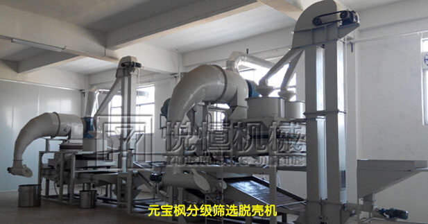 元寶楓籽油榨油機(jī)生產(chǎn)設(shè)備，元寶楓籽油精煉油設(shè)備